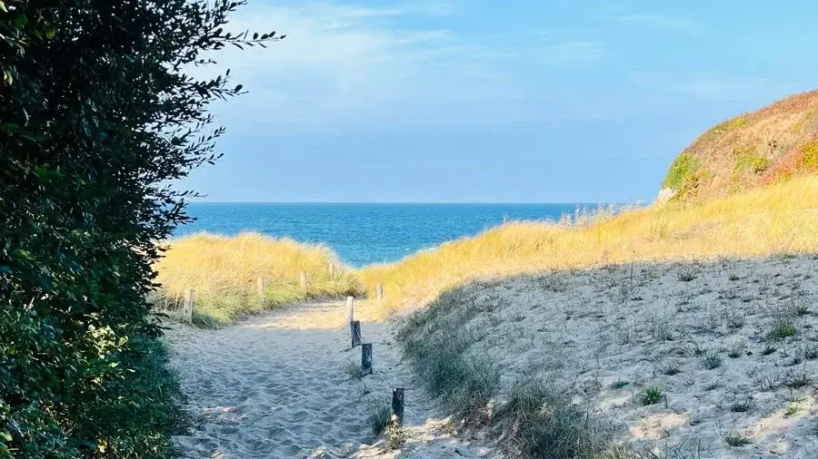 In der N&auml;he des Tagungsorts: Cancale in der Bretagne