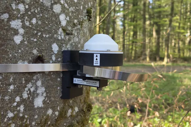 Dendrometer