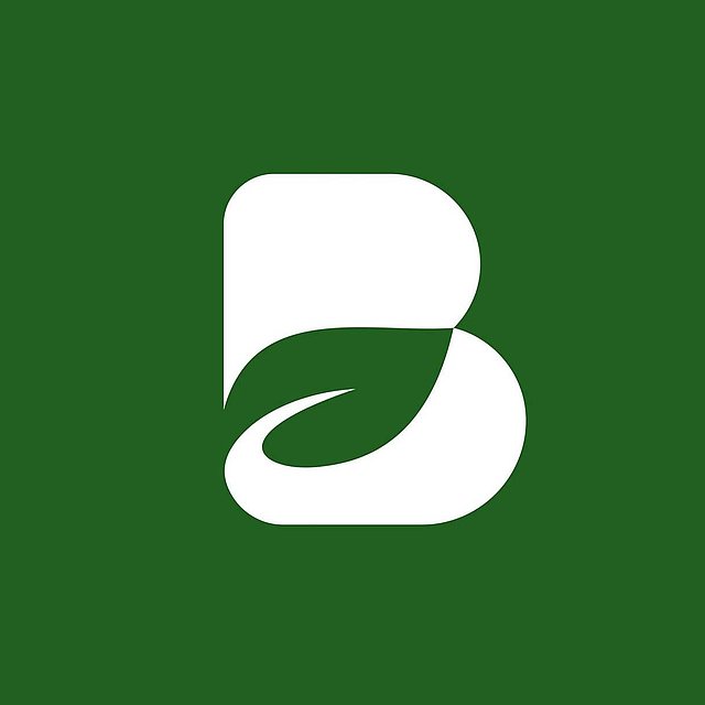 Grünes Logo von "Das Bündnis"