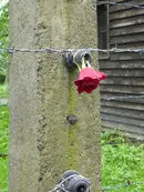 Auschwitz 2015