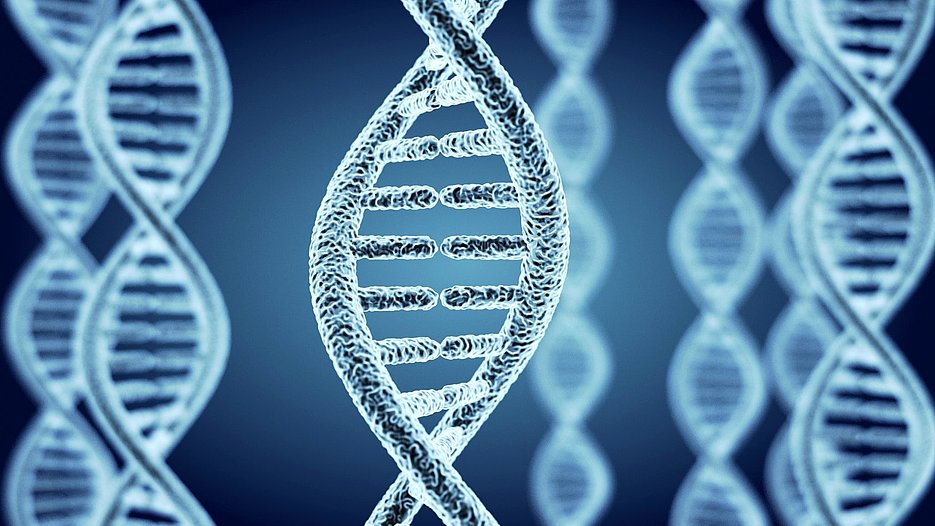 Das Genom und die Möglichkeiten seiner Manipulation sind Thema der Podiumsdiskussion