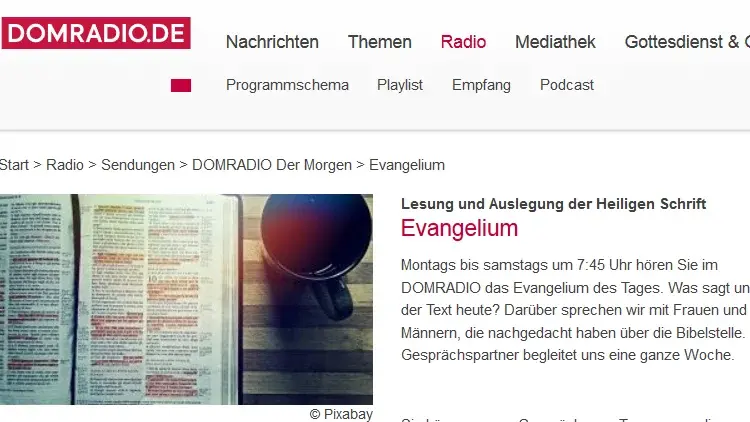 BirkelDomradio.png