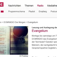 BirkelDomradio.png