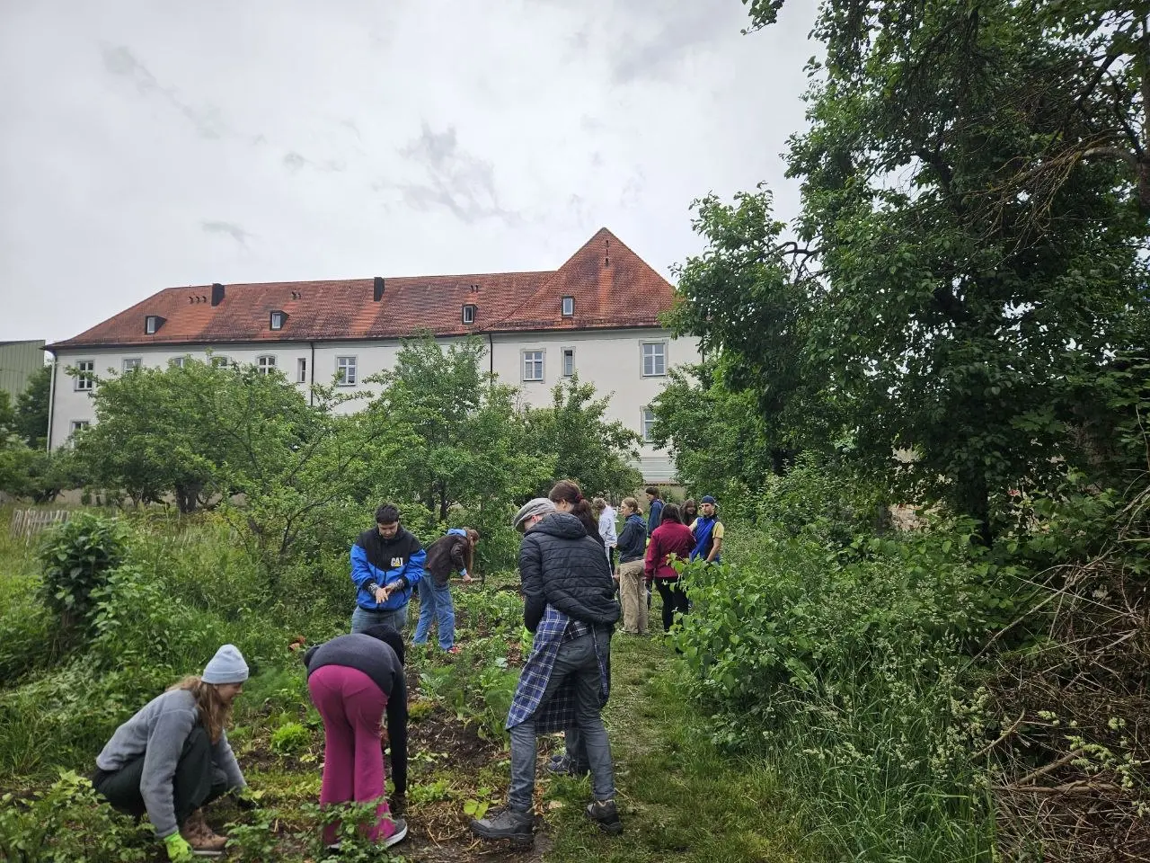 Arbeit am Schulgartenbeet