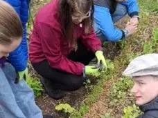 Erkl&auml;rung am Beet