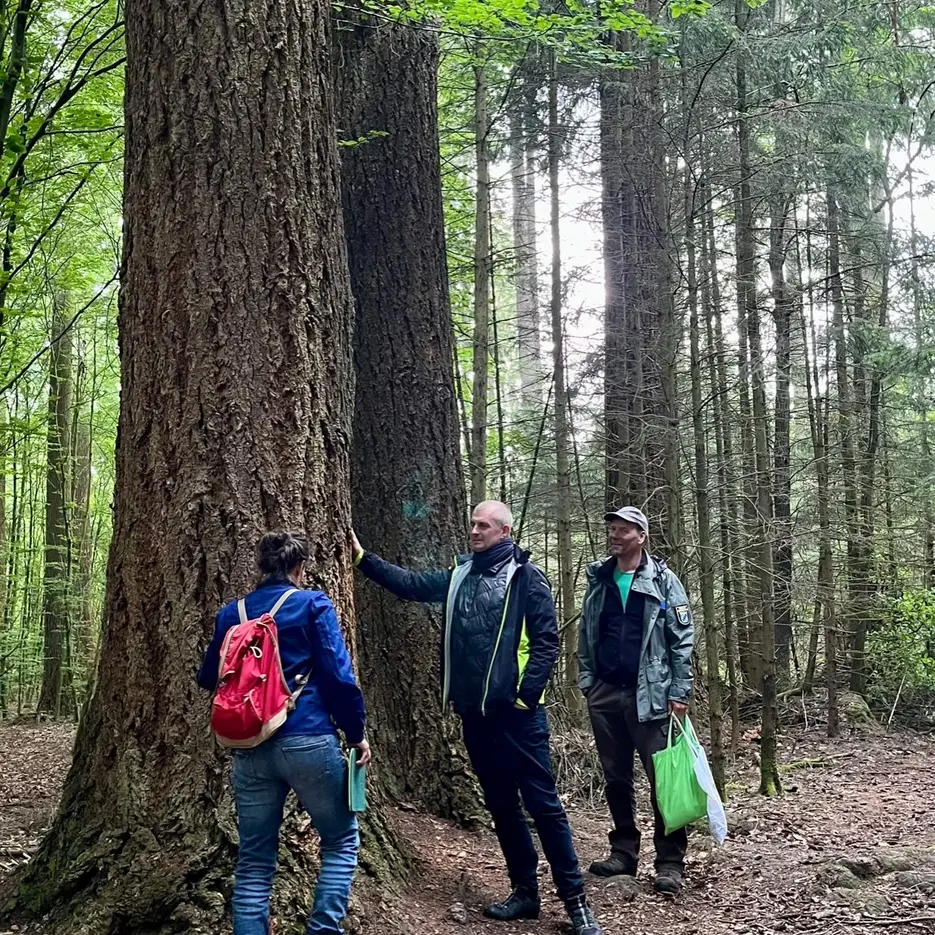 Gruppenbild Studierende und Dozierende im Wald