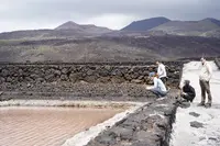 Exkursion LaPalma/Fuerteventura 2025