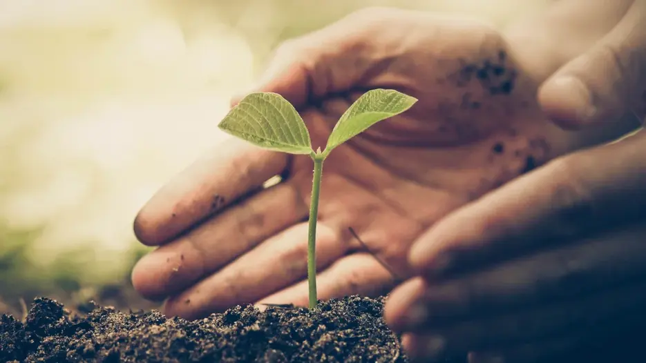 Sustainability