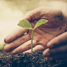Sustainability