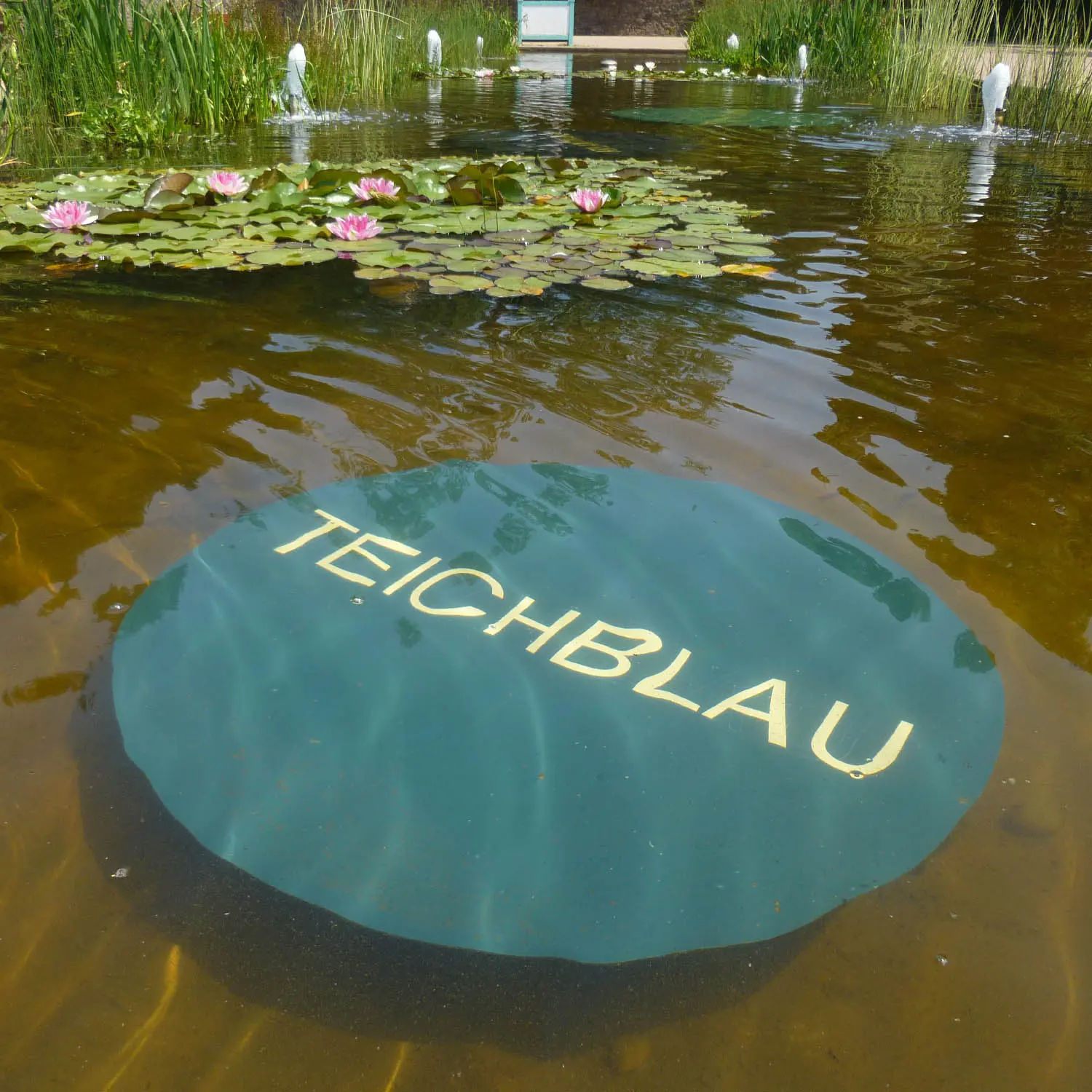 Blau im Fluss Petia Knebel 2003