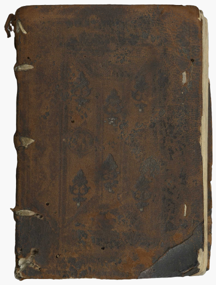 Ein stark abgegriffener Einband (Format: 14,5 × 10 cm) aus Rindsleder und Pappe. Mit diesem Titularbuch zweier Eichstätter Fürstbischöfe (ca. 1534 u. nach 1564) begann das Forschungsprojekt. 