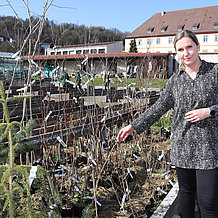 [Translate to Englisch:] Prof. Dr. Susanne Jochner-Oette begutachtet Pflanzen, die mit einem Pflanzenpass versehen und anan das Netzwerk der Internationalen Phänologischen Gärten versandt werden. 