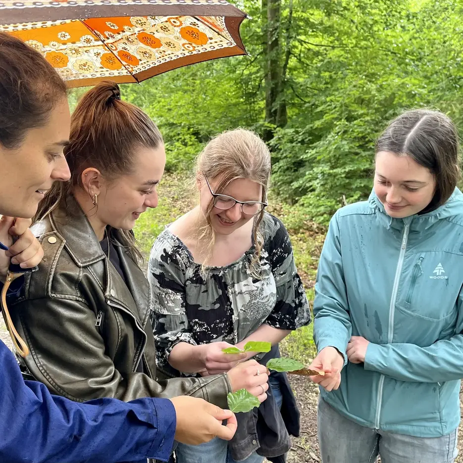 Gruppenbild Studierende und Dozierende im Wald