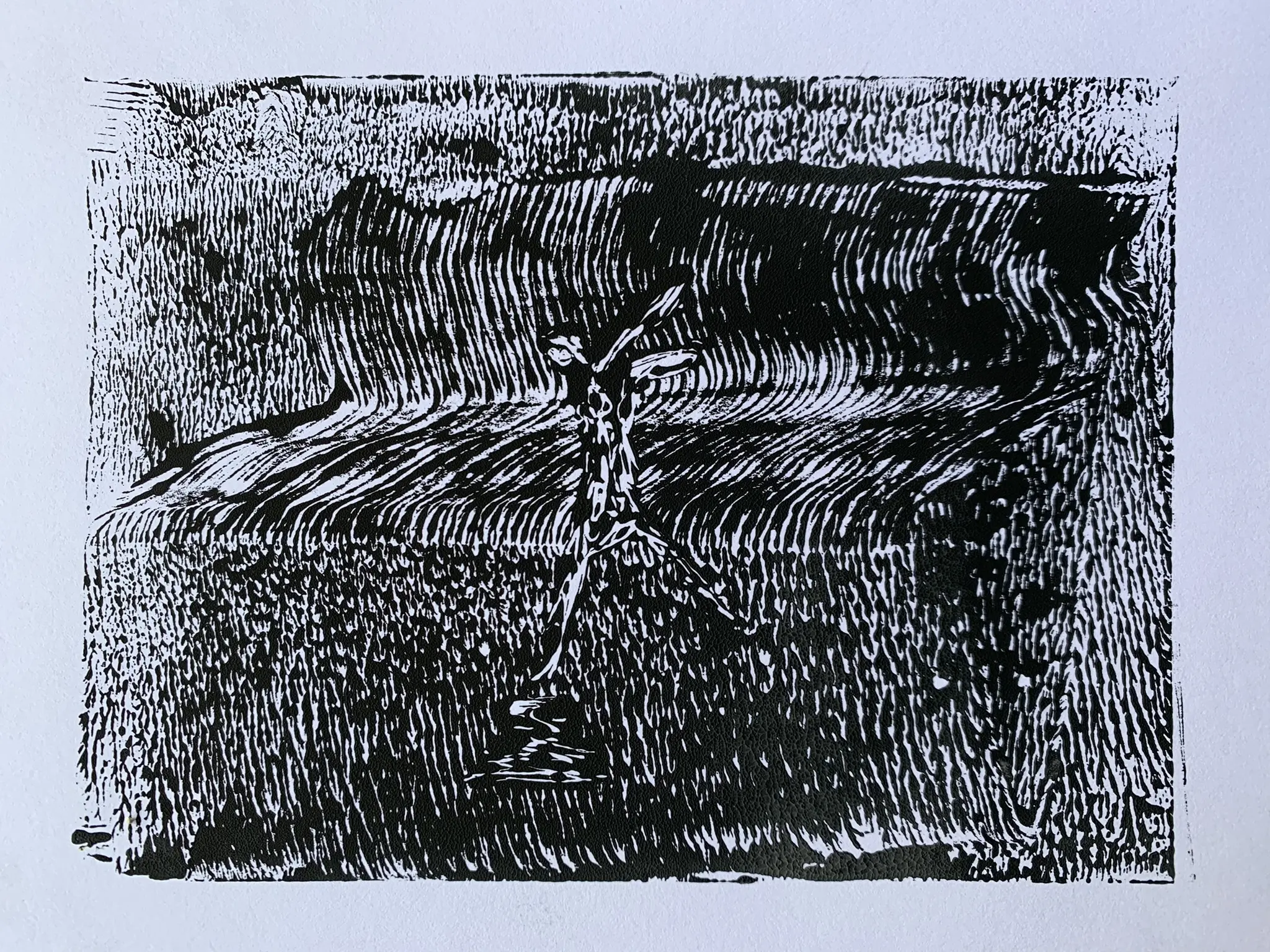 Meier-Franziska-Carte-blanche-05.jpeg