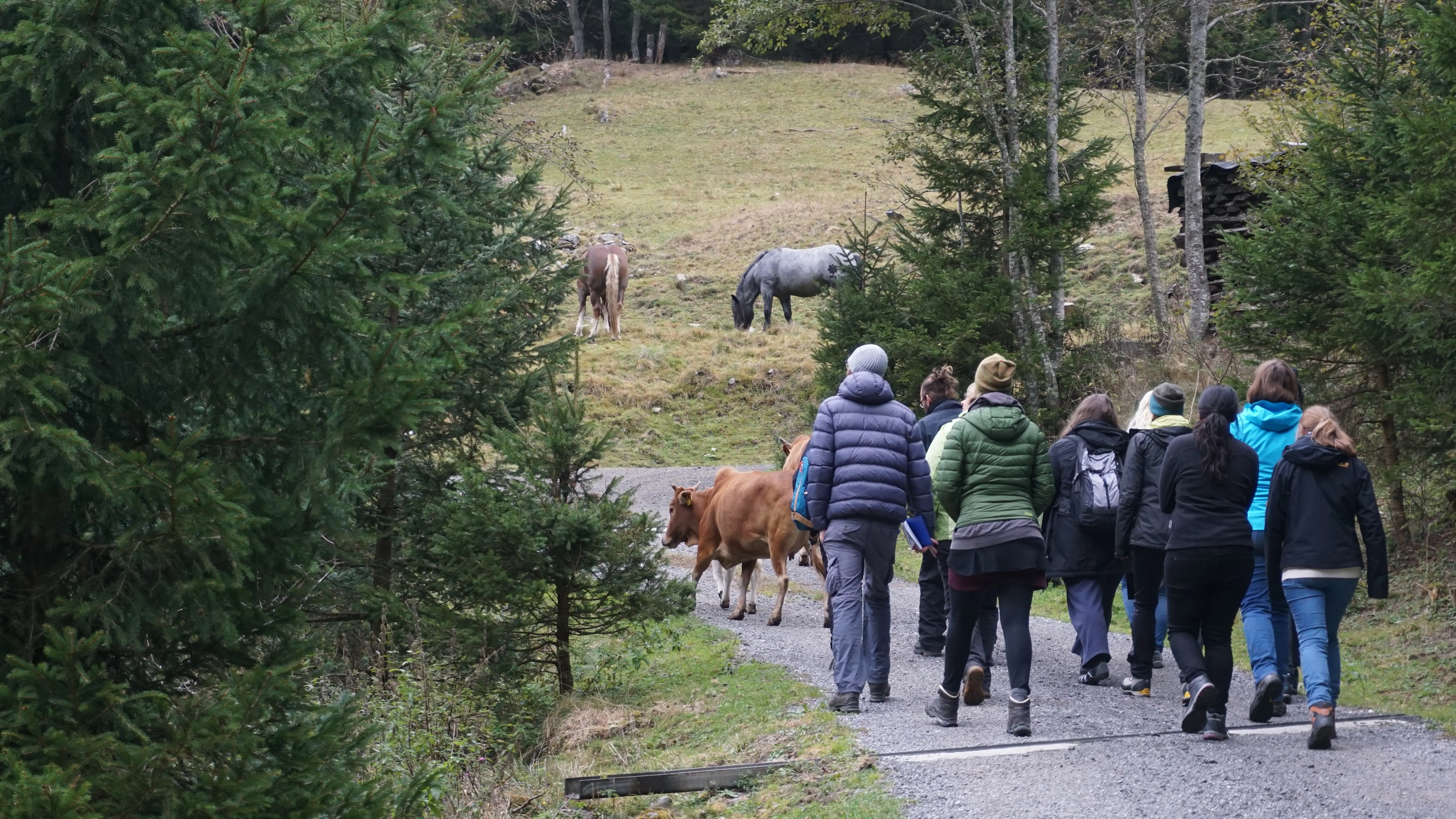 rangerlab im Nationalpark Hohe Tauern