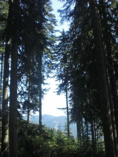 Sommer 2009