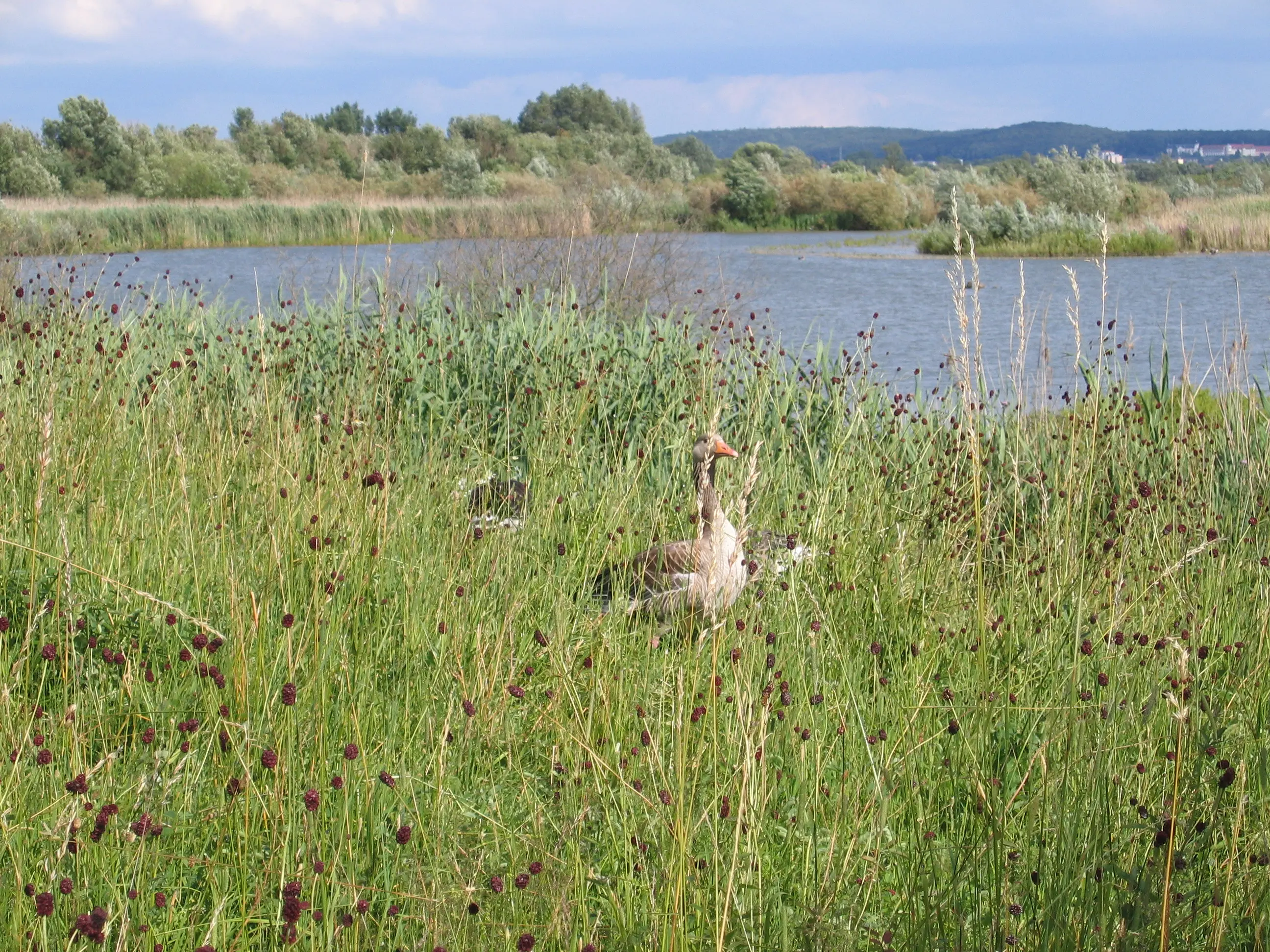 Fränkisches Seenland