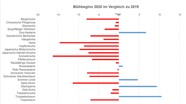 Blühbeginn Hofgarten 2019-2020