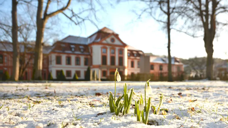 Sommerresidenz mit Schneegl&ouml;ckchen