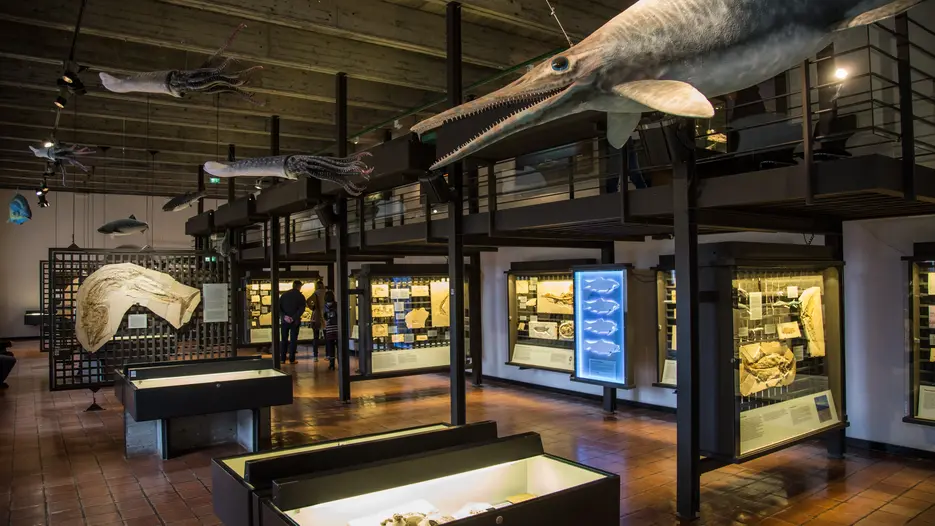 Museum01_01.jpg