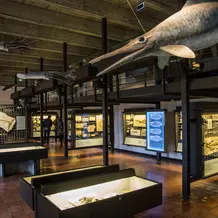 Museum01_01.jpg
