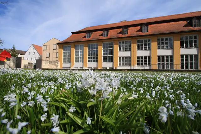 Forschung