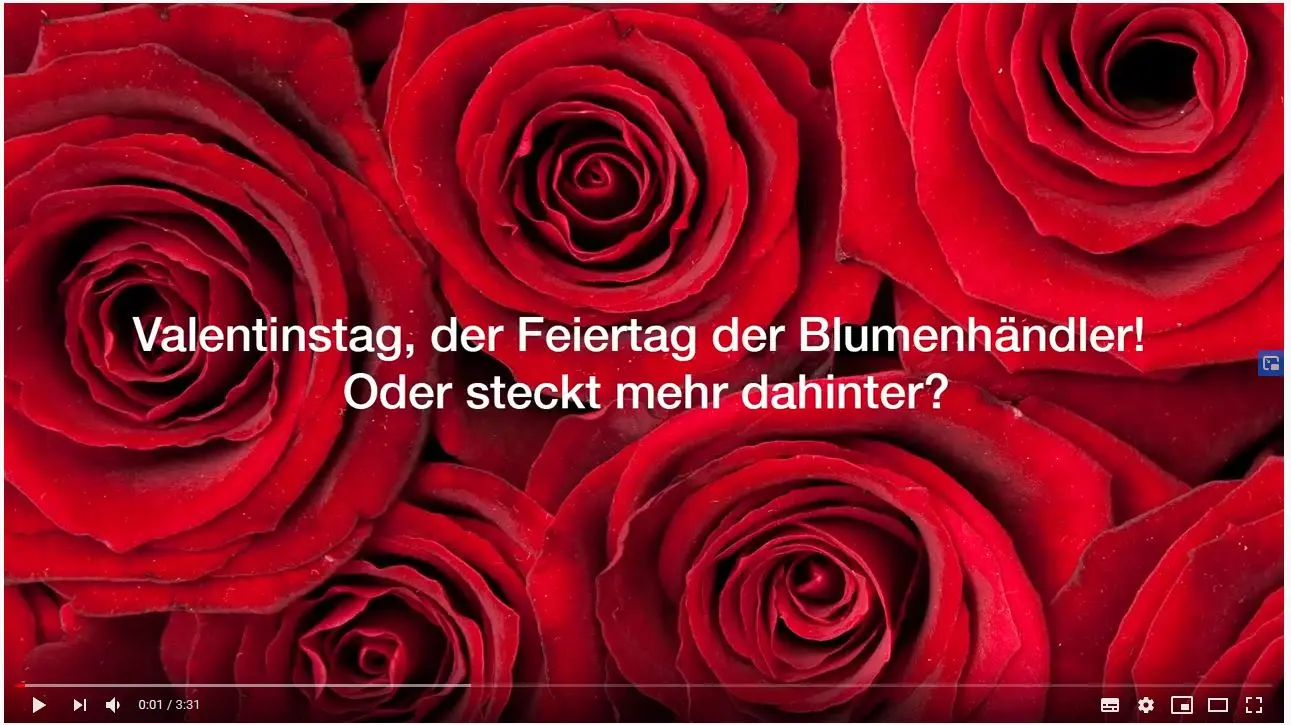 Standbild Valentinstag