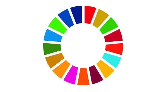 SDG Circle