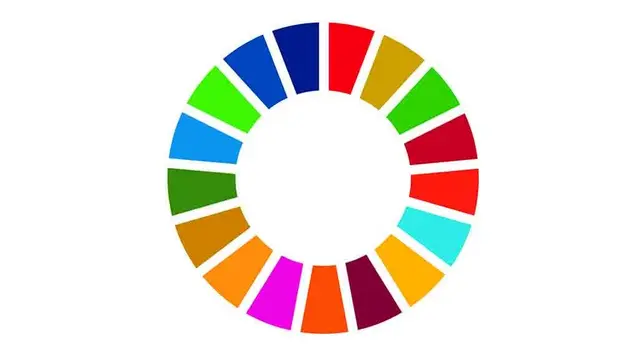 SDG Circle