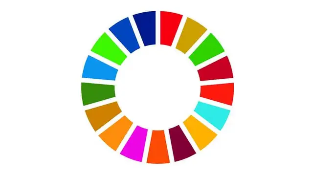 SDG Circle