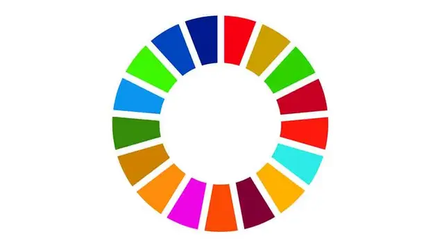SDG Circle