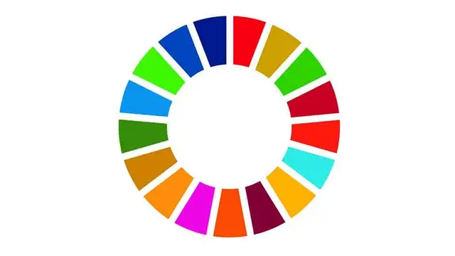 SDG Circle