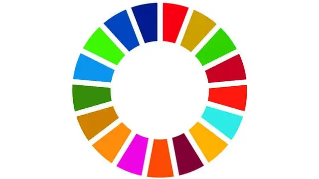 SDG