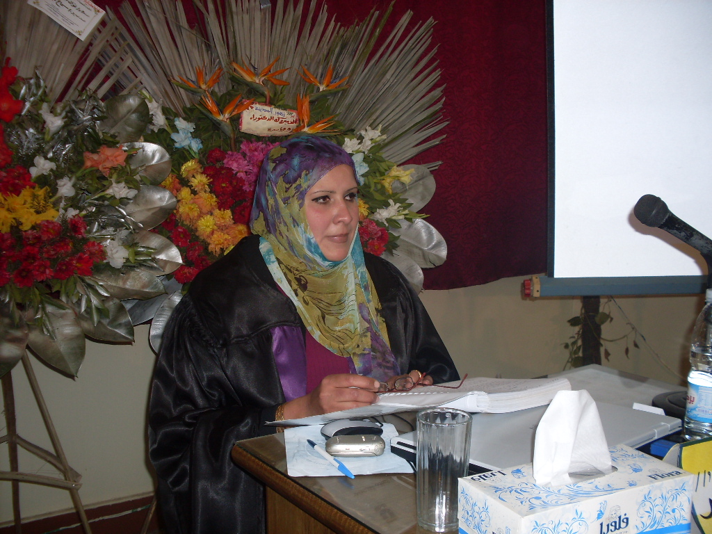 Samah el tantawy dissertation 08 picture